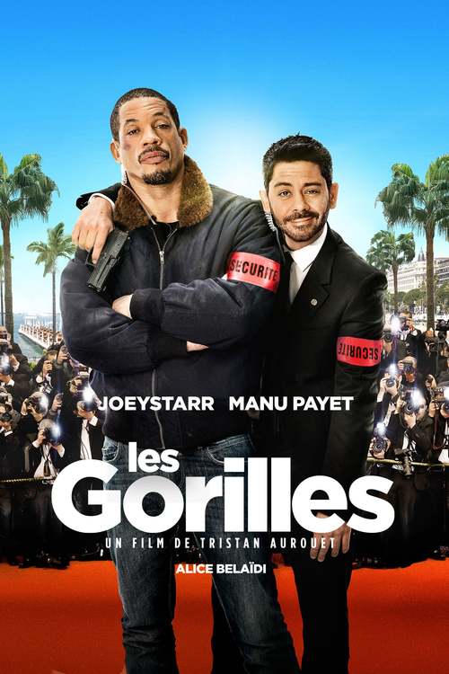 les-gorilles-6265-49345